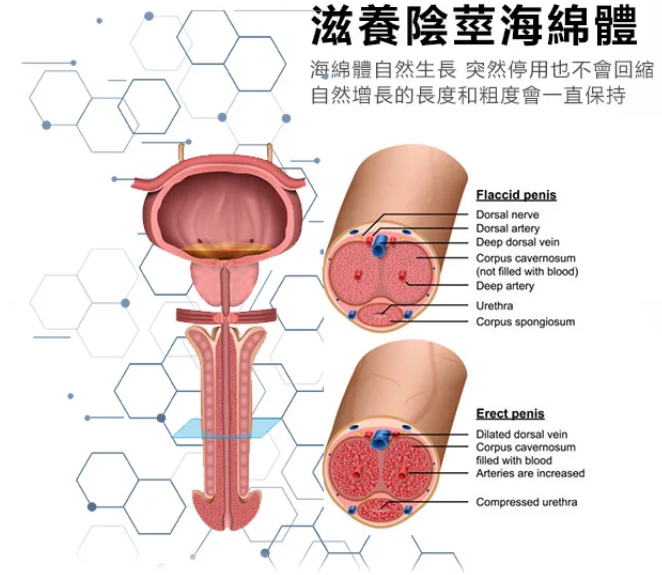 1763087414522817.png 企业微信截图_17463548636069.png