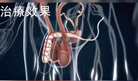 1765957047921453.gif 10005.gif