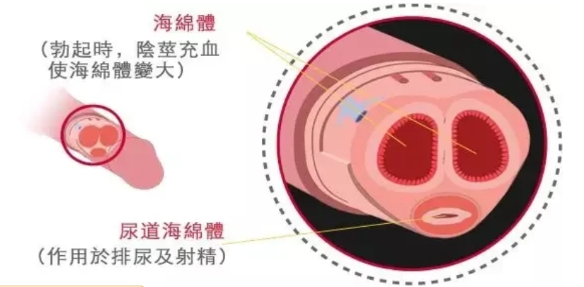 1765957239689039.png 企业微信截图_20251217154020.png