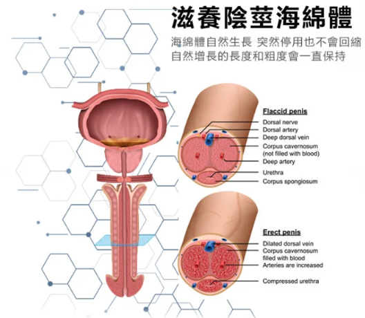 1765957959490318.png 企业微信截图_20251217155221.png